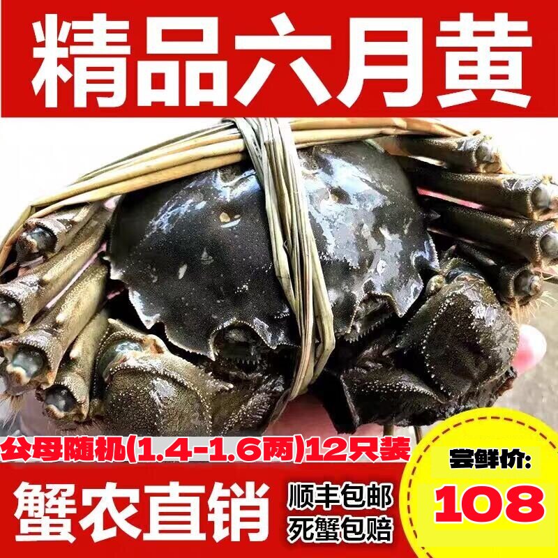 活蟹六月黄梁子湖区大闸蟹鲜活香辣蟹12/16只装14-1.6两公母随机