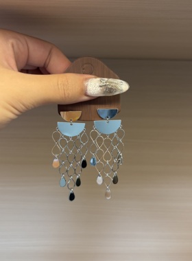 欧美复古流苏金属长款耳坠个性耳饰夸张显瘦镂空925银针