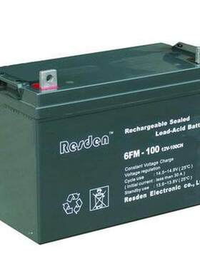 雷斯顿蓄电池6GFM100太阳能储能电池 12V100AH免维护