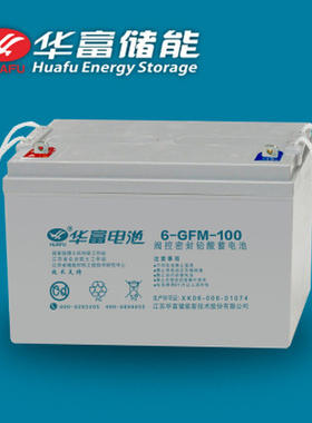 HUAFU BATTERY华富蓄电池6-CNJ-65 胶体免维护 UPS不间断电源