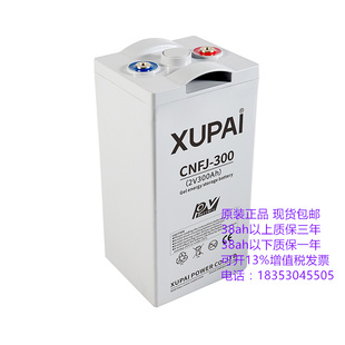 XUPAI 旭派蓄电池免维护 LED CNFJ-300 UPS设备 电源 电瓶