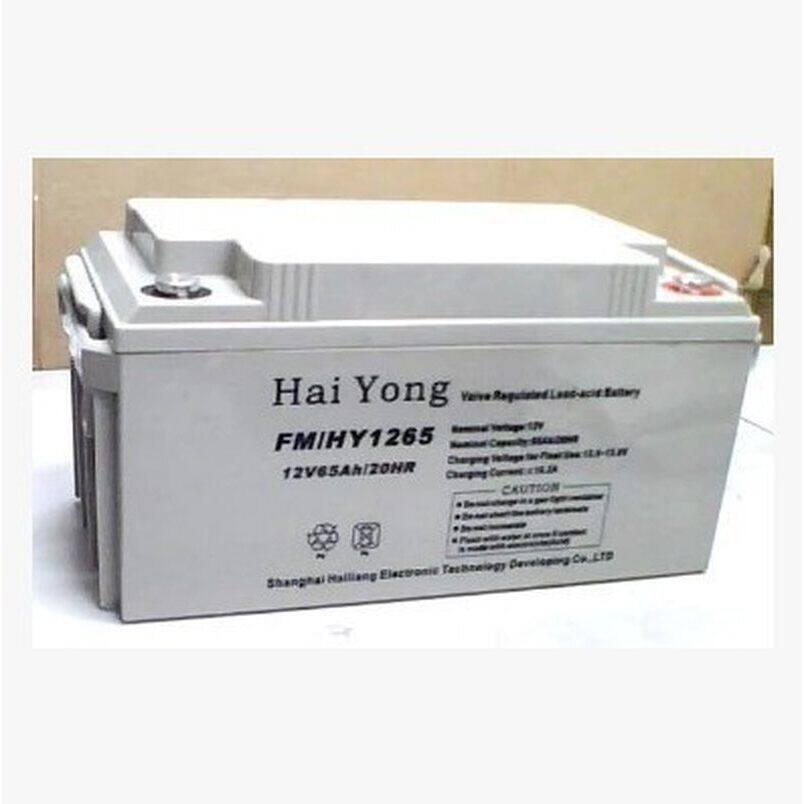 Hai yong海雍蓄电池FM/HY1238 绿色型 UPS计算机直流屏