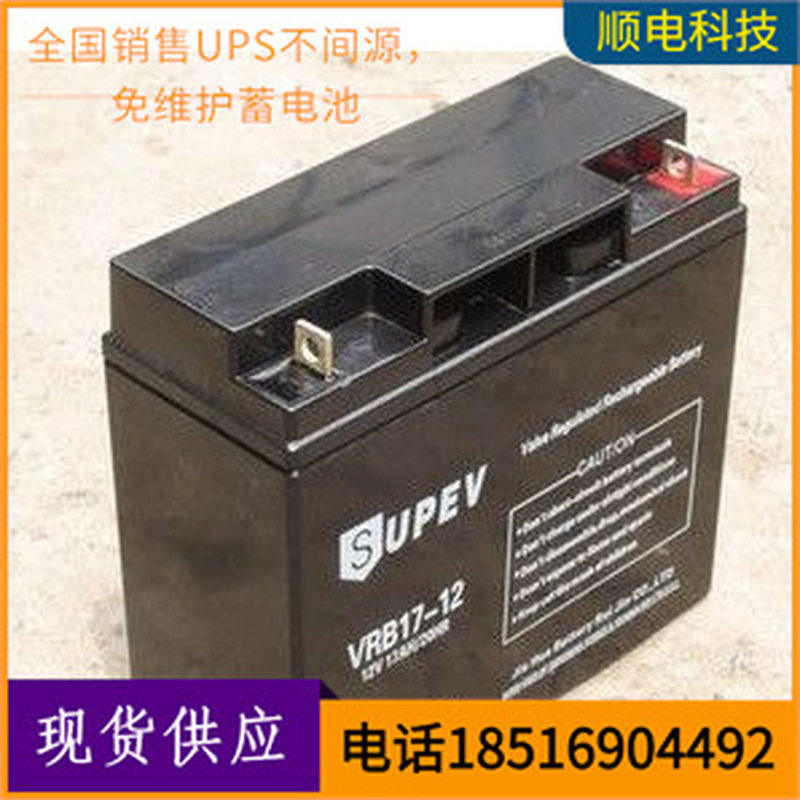 圣能VAH 圣能VRB17-12UPS应急电源蓄电池 质保三年计算机系统