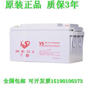 船舶 设备电源电瓶 直流屏UPS 12V65Ah 电梯 铁路 V5蓄电池65