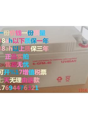 Loupower 莱力蓄电池 6-GFM-65/12V65AH 莱力蓄电池12V55AH