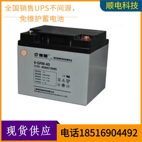 POWERSON复华保护神蓄电池6gfm-38 12v38ah UPS电源直流屏用电瓶