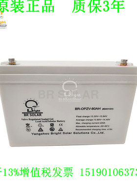 BR SOLAR蓄电池 BR-OPZV-80AH(80AH12V)免维护 UPS设备电源电瓶