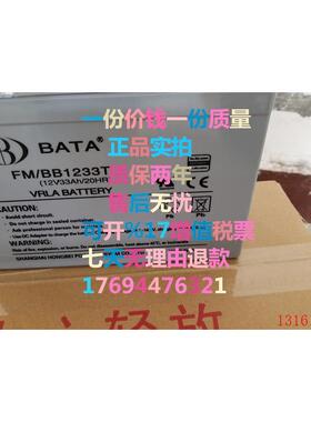 BATA 蓄电池 鸿贝蓄电池12V33AH FM/BB1233T 12V33AH/20HR电池