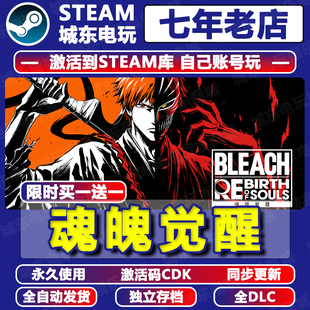魂魄觉醒BLEACH Steam激活码CDKEY全DLC永久入库包更新游戏全球区