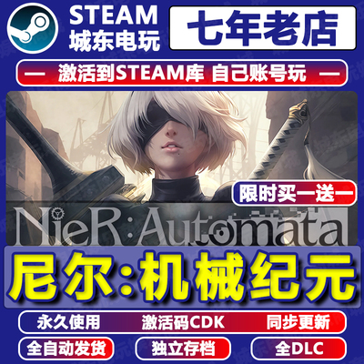 尼尔机械纪元Steam激活码CDK游戏