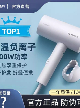 飞科吹风机FH6276护发恒温负离子家用宿舍学生大功率冷热风可折叠