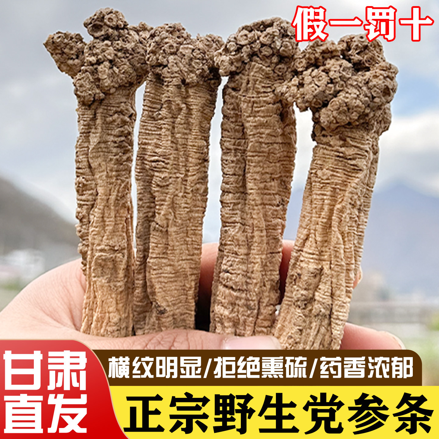 野生党参500g干货特级中药材正品甘肃当参黄芪当归泡水官方旗舰店