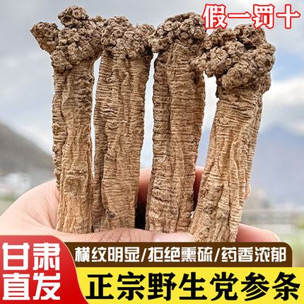 野生党参500g干货特级中药材正品甘肃当参黄芪当归泡水官方旗舰店