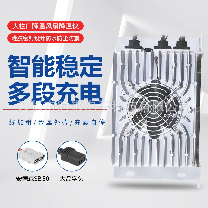 新能源电动汽车车载48V60V72V30A
