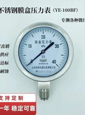 不锈钢膜盒压力表YE100BF耐腐蚀耐高温微压表天然气燃气表 千帕表