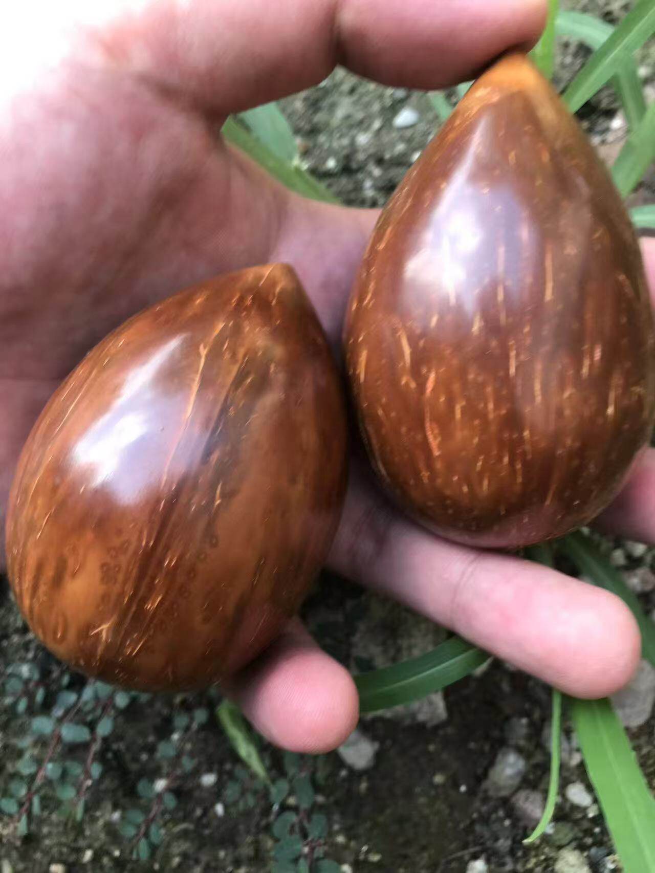 手工打磨高抛原生态加工库克原果手把件摆件雕刻手持文玩手球天然