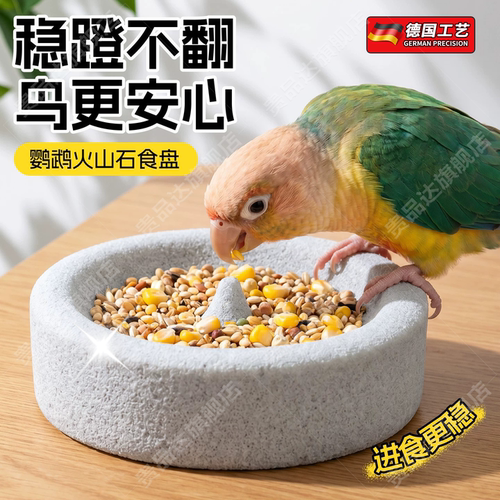 德国鹦鹉食盆火山石浮石小太阳牡