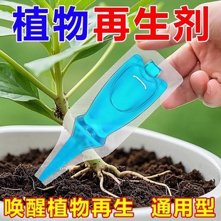 植物再生剂浓缩营养液绿植物通用养花卉盆栽家庭园艺肥料水溶肥料