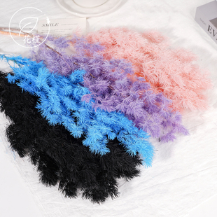 永生花蓬莱松干花diy材料高级轻奢家居摆件仿真花插花鲜花束花艺