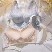 2024新款 蕾丝内衣女小胸聚拢无钢圈调整型上托防下垂收副乳文胸罩