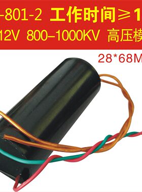 6-12V脉冲高压包逆变器直流高压模块 电弧发生器  800-1000KV线圈