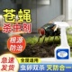 餐饮饭店苍蝇药神灭蝇器香克蚊子星商用蚊蝇杀虫剂专用无味喷雾剂