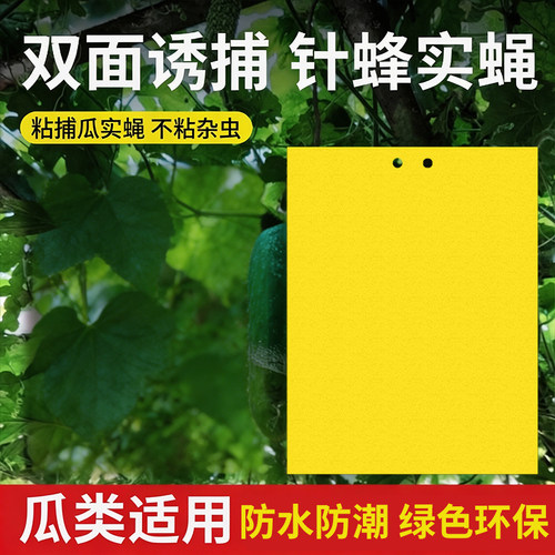 针蜂贴瓜实蝇粘虫板粘捕器黄板双面菜地果蝇丝瓜苦瓜菜园强力胶水