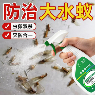 飞蚂蚁杀虫剂家用全窝灭防治驱赶大水蚁涨水蛾除白蚁专用药端喷雾