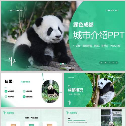 绿色熊猫背景的成都城市介绍PPT模板