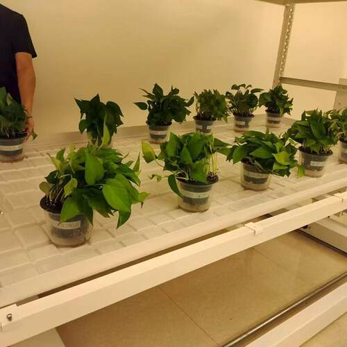 轨道苗床专业工厂垂直架水培植物轨道式多层生长架立体种植架连栋