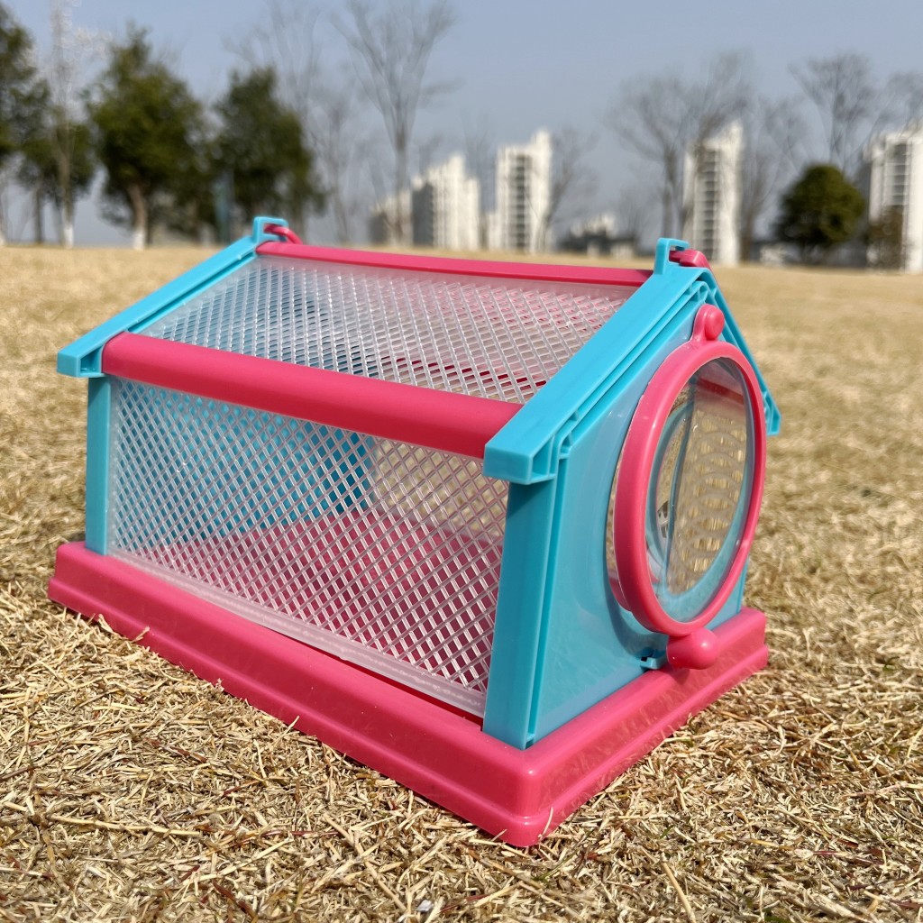 蝴蝶蛹可孵化卵茧观察盒笼儿童可以养的小宠物学生无毒幼儿园羽化