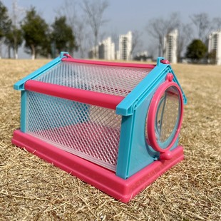 蝴蝶蛹可孵化卵茧观察盒笼儿童可以养的小宠物学生无毒幼儿园羽化