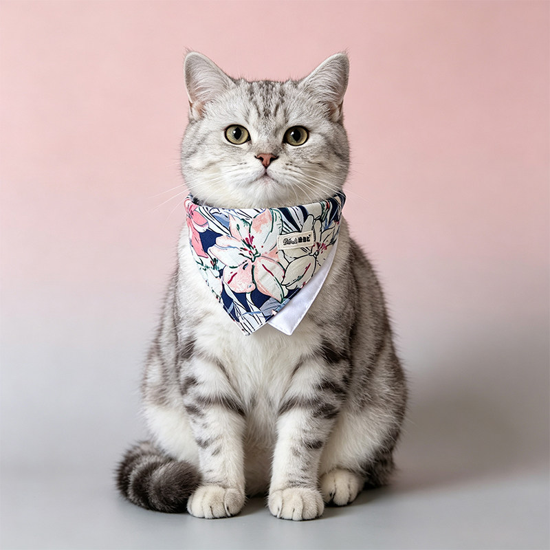 猫咪口水巾狗狗三角巾防口水宠物围脖猫围巾国风卡通印花四季通用
