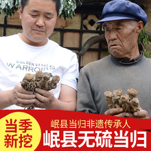 农家散装 整根党参非黄芪野生特级正品 当归哥 岷县当归500克 包邮