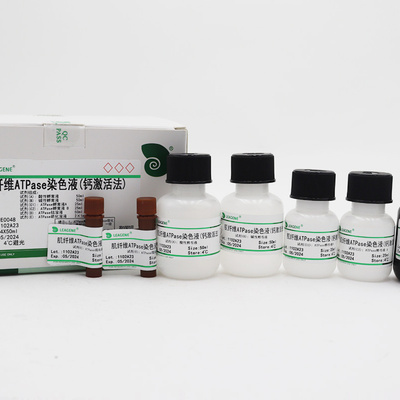 肌纤维ATPase染色液(钙激活法)