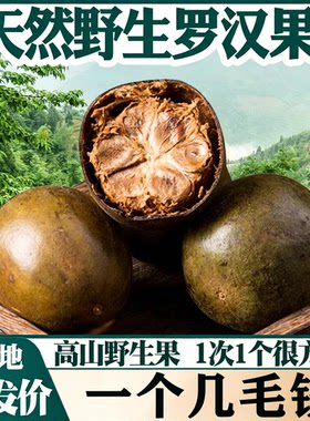 广西高山野生罗汉果正品