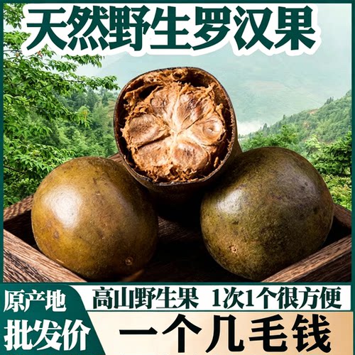 广西高山野生罗汉果正品