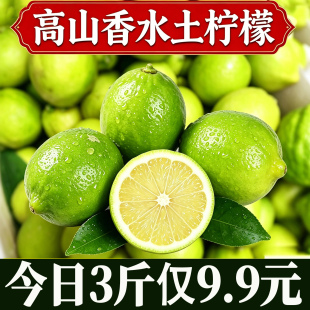广西正宗高山香水柠檬新鲜水果当季整箱现摘奶茶店专用商用青柠檬