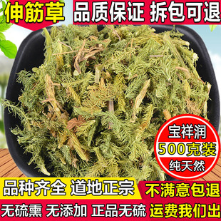 中药材伸筋草舒筋草 筋骨草 石松 伸筋草500克纯天然贵州