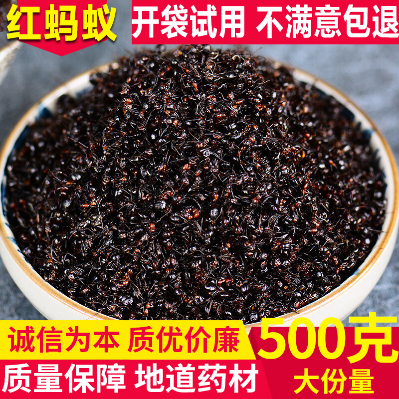 中药材正品红蚂蚁黑蚂蚁新货东北长白山 药用蚂蚁干泡酒500g