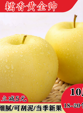 粉面苹果金帅新鲜水果黄元帅甜沙吃的烟台黄香蕉刮泥5斤10斤包邮