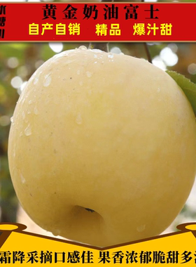 正宗黄金奶油富士山东烟台脆甜冰糖心丑苹果香甜非金元帅5斤新鲜