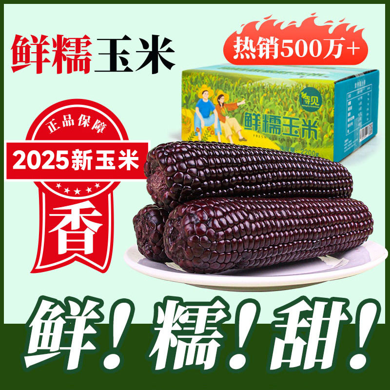 待见2025头茬黑玉米新鲜糯玉米