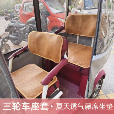 金彭SU7时尚版盛昊蜻蜓ltra大安米乐乐维Pro夏季三轮车凉席坐垫套