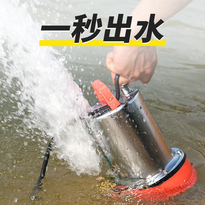 直流潜水泵12v 高扬程大流量电动车小型农田24v48v60v家用全铜1寸