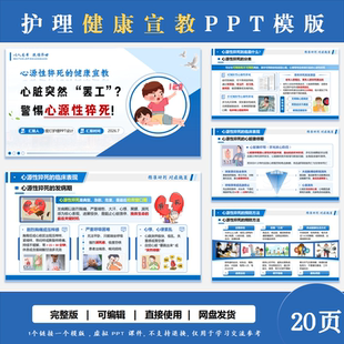 医学医护护理健康宣教PPT模版品管圈护士长竞聘个案查房说课PDCA