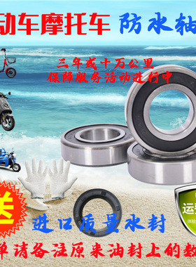 防水6200rs6201电瓶车三轮车电动车摩托6204轴承电机一对前轮后轮