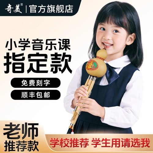 成人儿童初学者紫竹胡葫丝