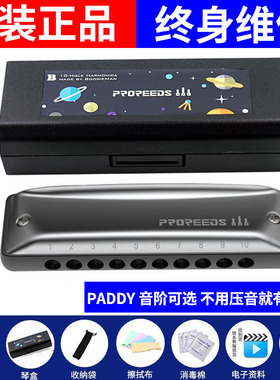 ProReeds十孔布鲁斯蓝调儿童成人初学10孔口琴BM PR Boogieman