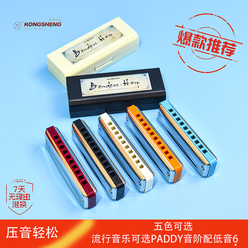 孔声10孔PADDY调音布鲁斯口琴